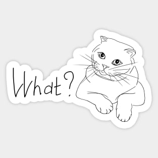 Сat asks - What? Sticker